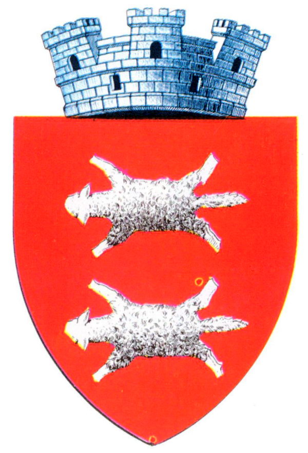 Anvelope Buhuși