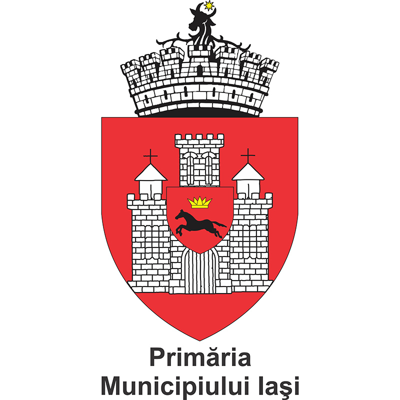 Anvelope Iasi