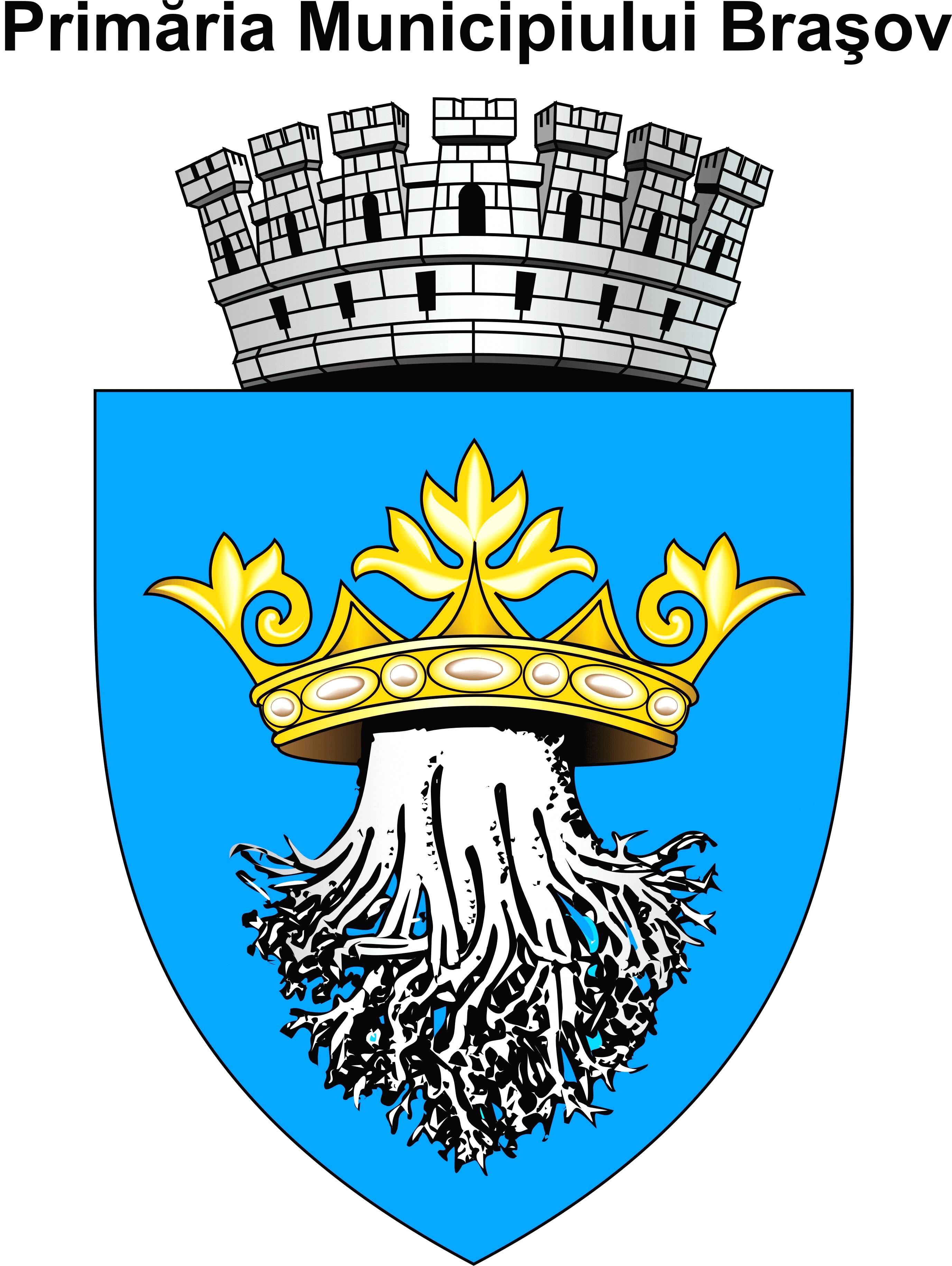 Primaria Brasov